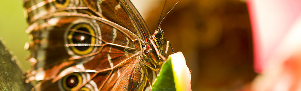 信息轰炸在线使用免费